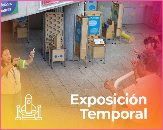 Exposición Temporal