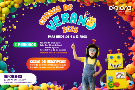 CURSOS DE VERANO 2025