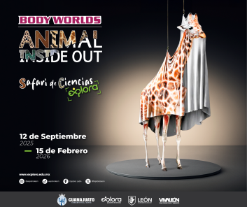BODY WORLDS: ANIMAL INSIDE OUT